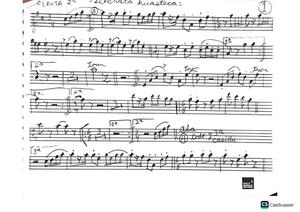 Miniatura de 1 - Serenata huasteca - flauta 2.pdf
