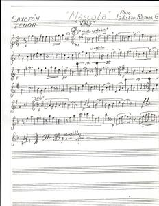 Miniatura de Saxo teneor.pdf