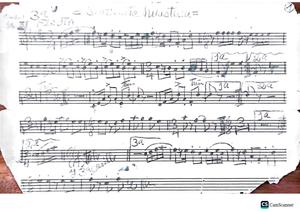 Miniatura de 1 - Serenata Huasteca - flauta 3.pdf